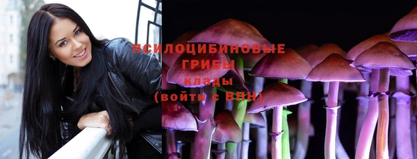 хмурый Абинск
