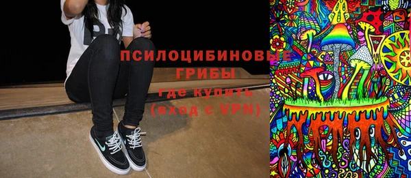 ГАЛЛЮЦИНОГЕННЫЕ ГРИБЫ Абаза