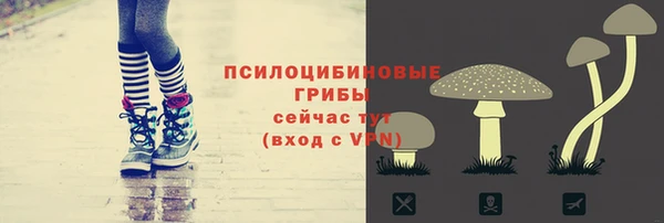 ГАЛЛЮЦИНОГЕННЫЕ ГРИБЫ Абаза