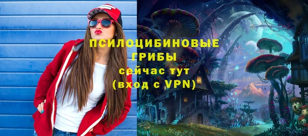 хмурый Абинск
