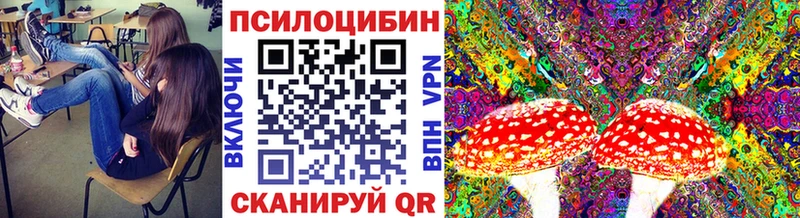 Псилоцибиновые грибы Magic Shrooms Тбилисская